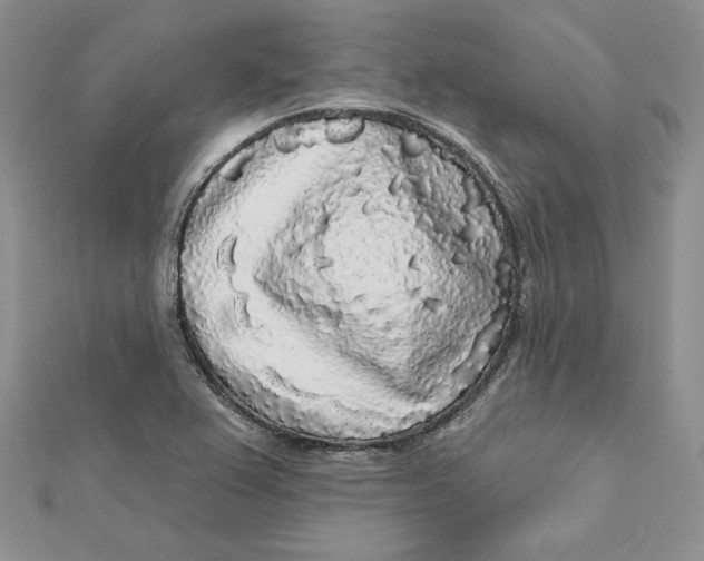 X0000112361367200909031901