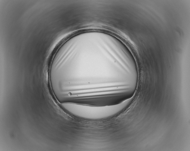 X0000112361368200909031901