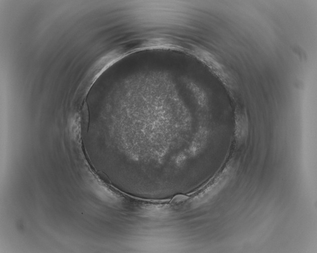 X0000112361369200909031901