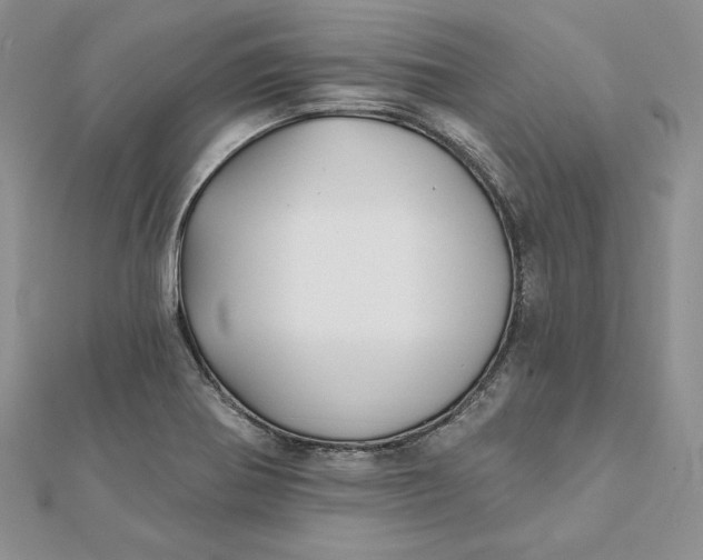 X0000112361370200909031901