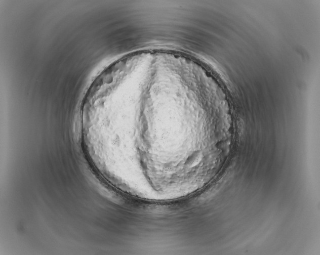 X0000112361371200909031901