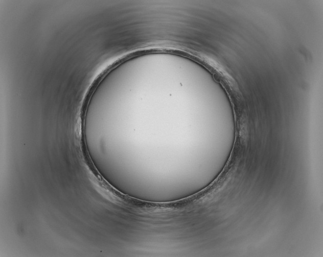 X0000112361372200909031901