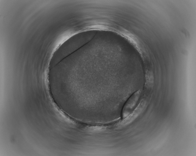 X0000112361373200909031901