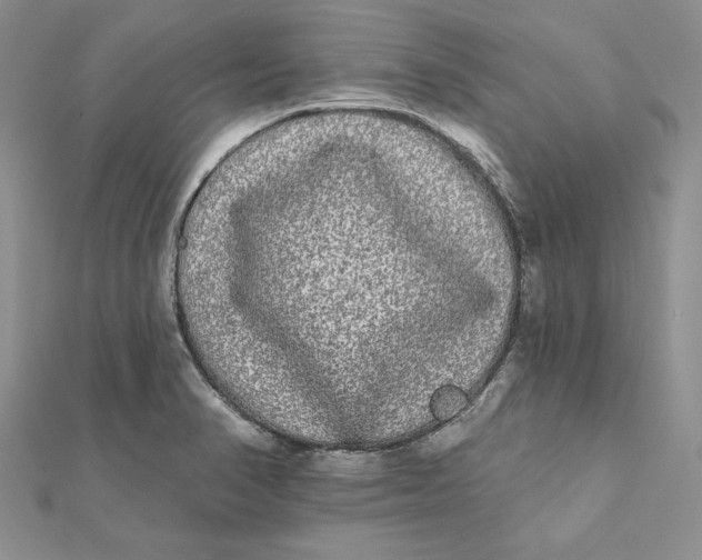 X0000112361374200909031901