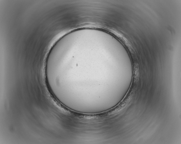 X0000112361375200909031901