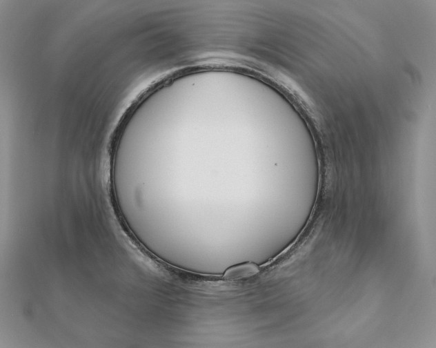 X0000112361376200909031901