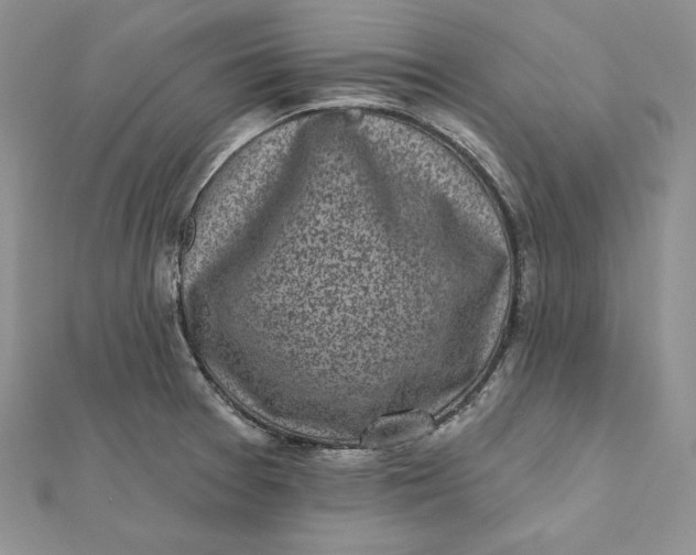 X0000112361377200909031901