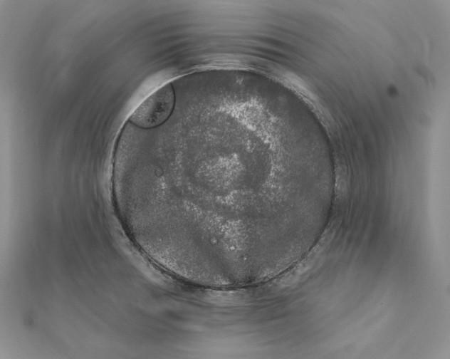 X0000112361378200909031901