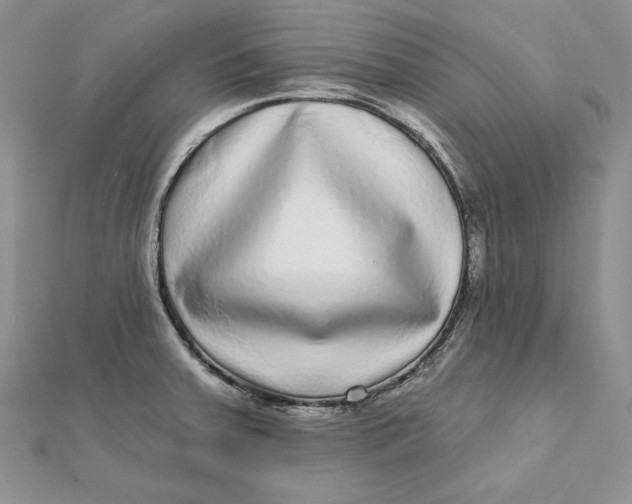 X0000112361379200909031901