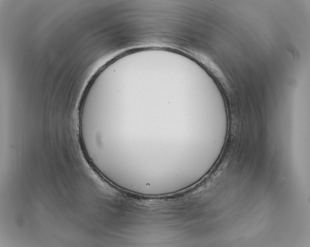 X0000112361380200909031901