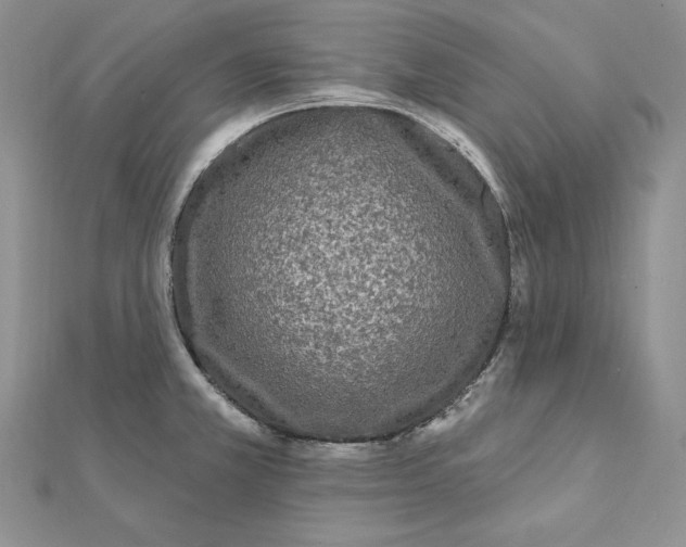 X0000112361381200909031901