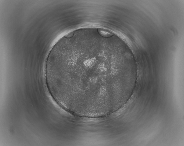 X0000112361382200909031901