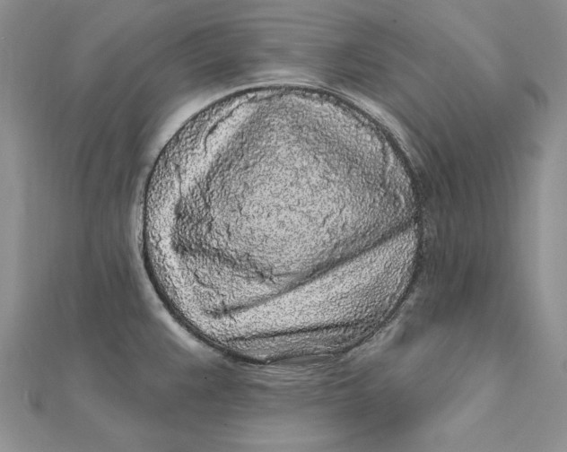 X0000112361383200909031901