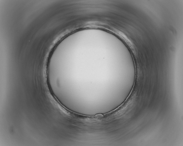 X0000112361384200909031901