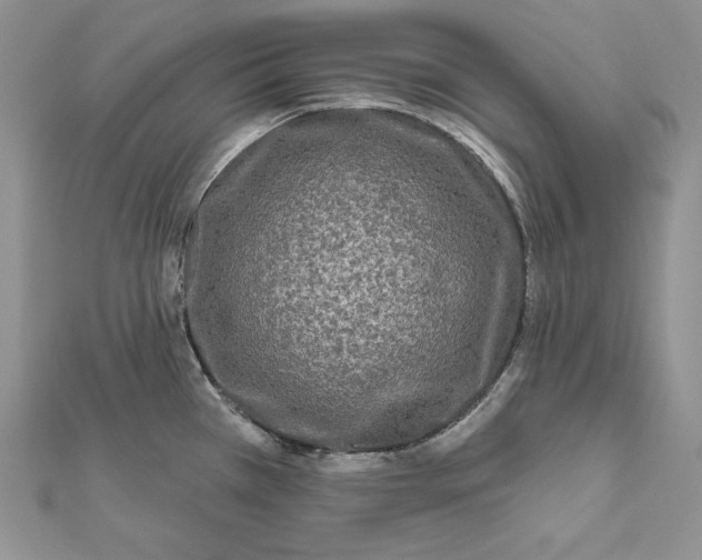 X0000112361385200909031901