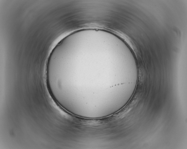 X0000112361387200909031901