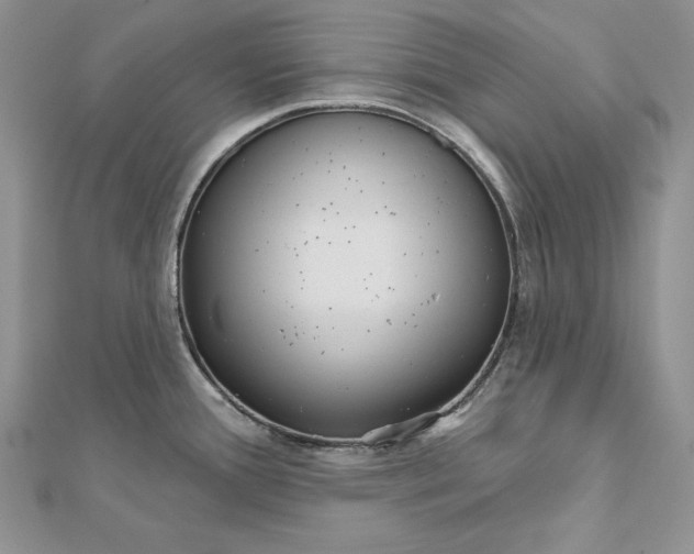 X0000112361388200909031901