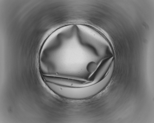 X0000112361389200909031901