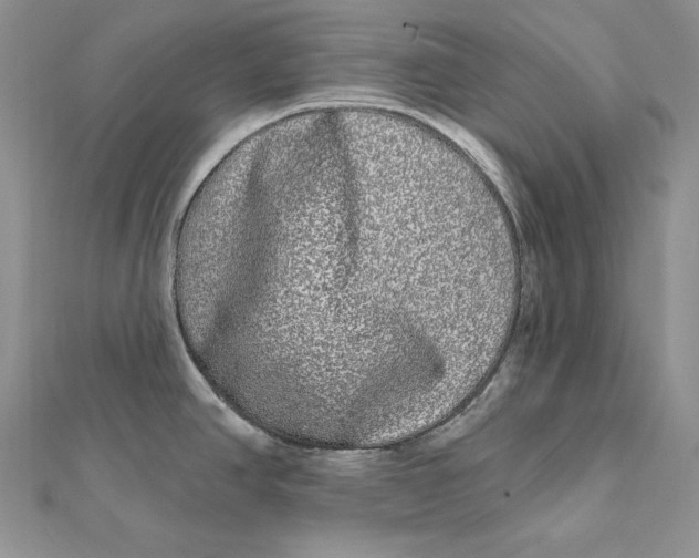 X0000112361390200909031901