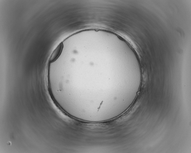 X0000112361391200909031901