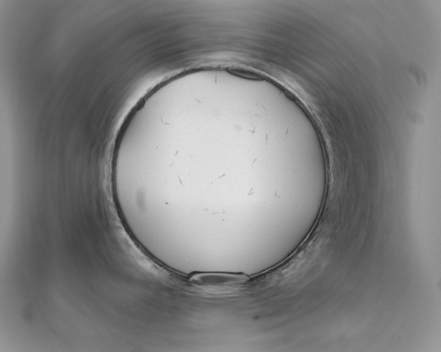 X0000112361392200909031901