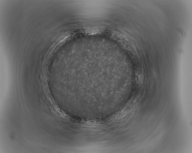 X0000112361393200909031900