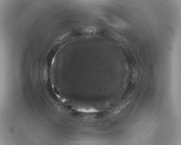 X0000112361394200909031900