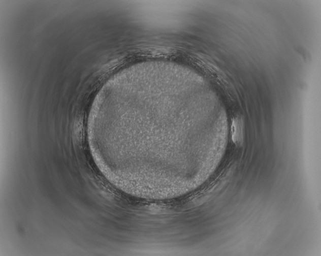 X0000112361395200909031900