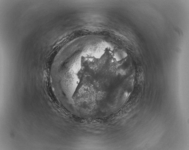 X0000112361397200909031900