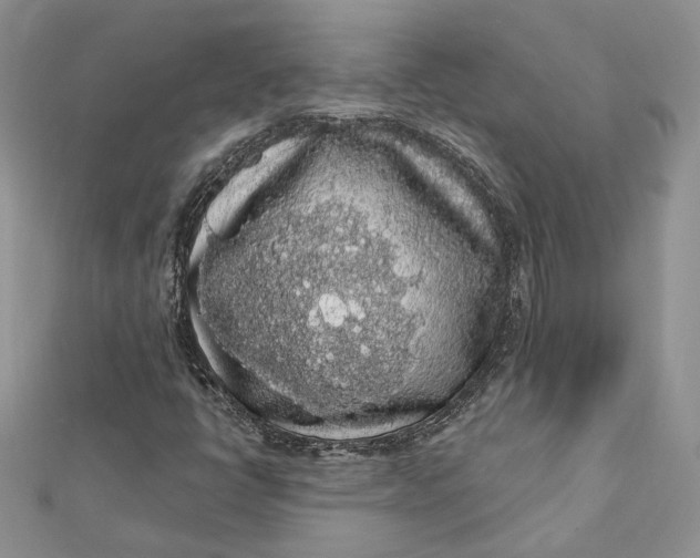 X0000112361398200909031900