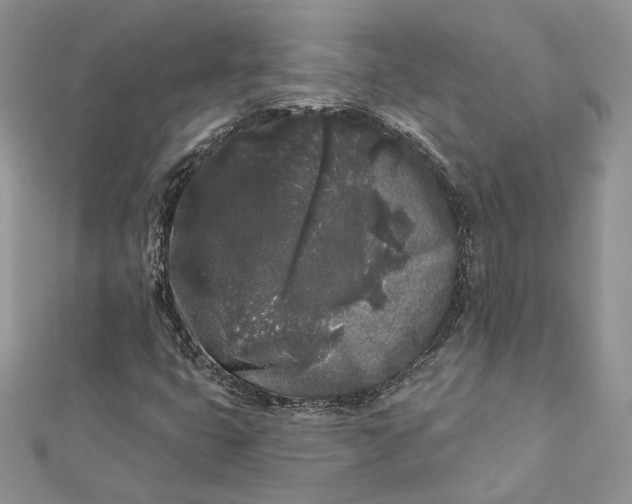 X0000112361399200909031900