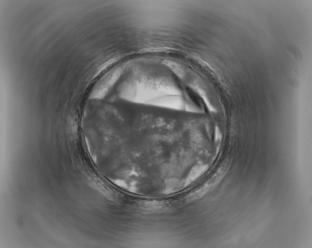 X0000112361401200909031900