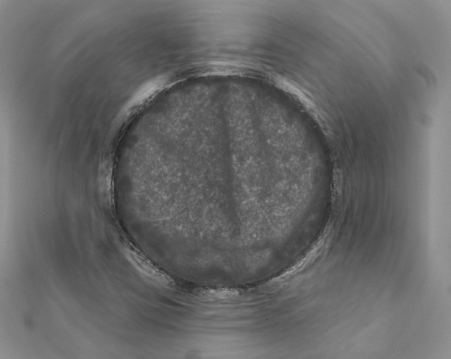 X0000112361403200909031900