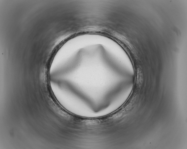 X0000112361404200909031900