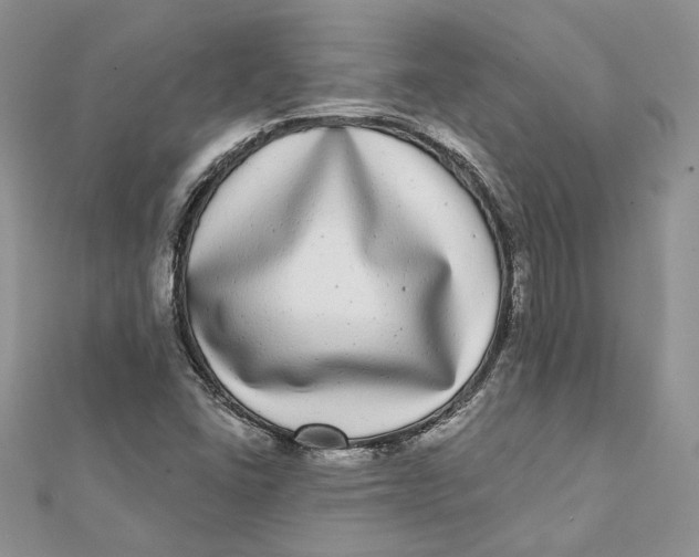 X0000112361406200909031900