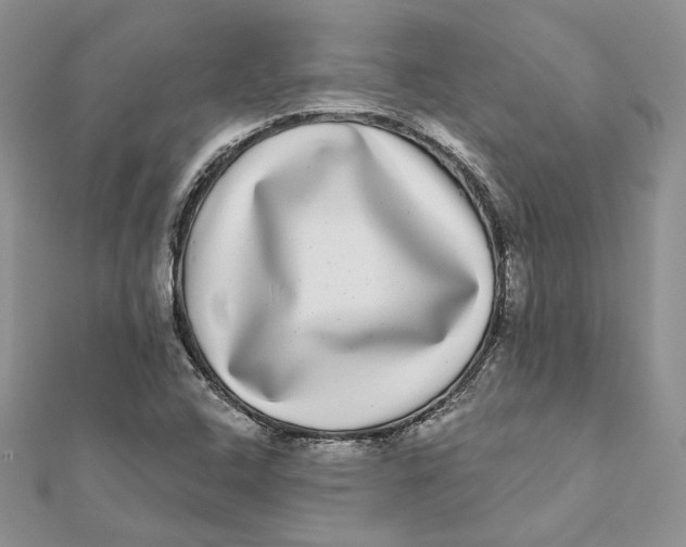 X0000112361408200909031900