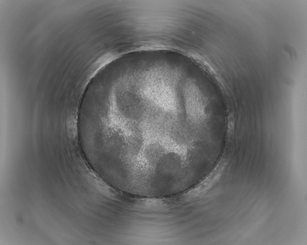 X0000112361409200909031900