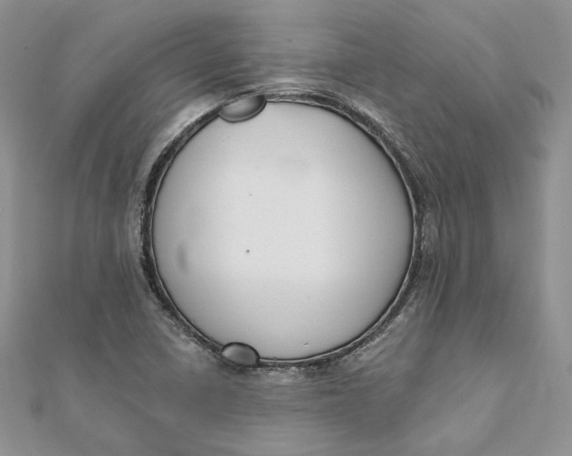 X0000112361410200909031900