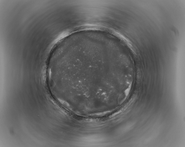 X0000112361411200909031900