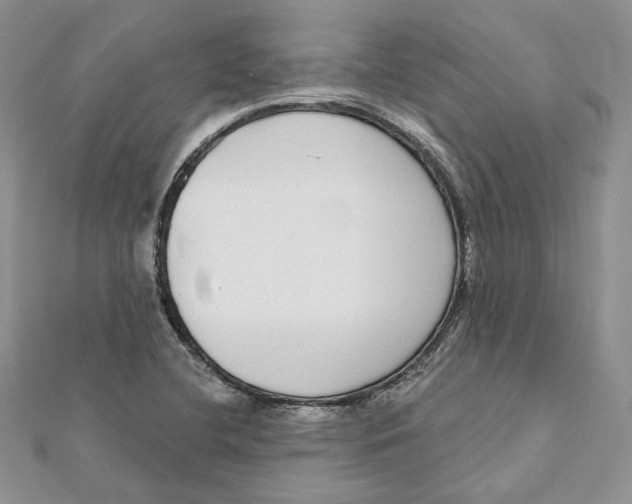 X0000112361412200909031900