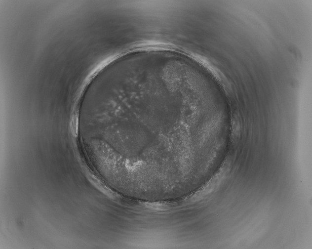 X0000112361413200909031900