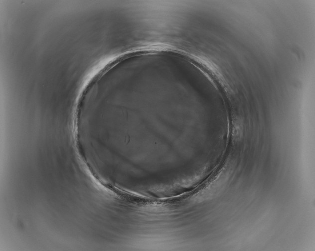 X0000112361414200909031900