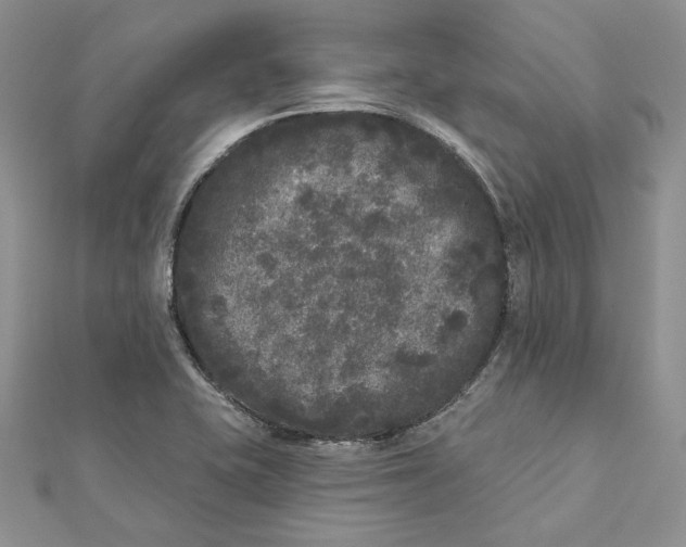 X0000112361415200909031901