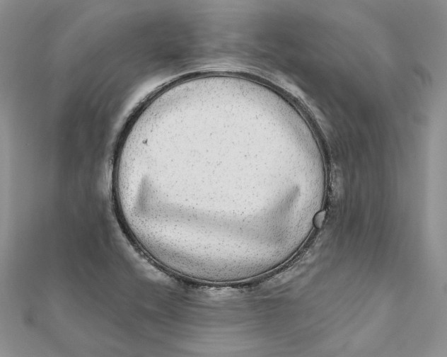 X0000112361416200909031901