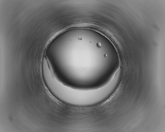 X0000112361417200909031901