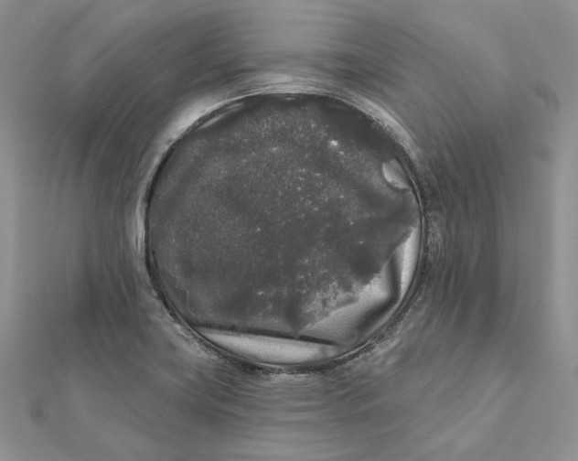 X0000112361419200909031901