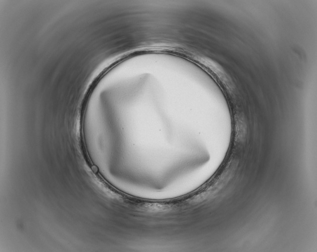 X0000112361420200909031901