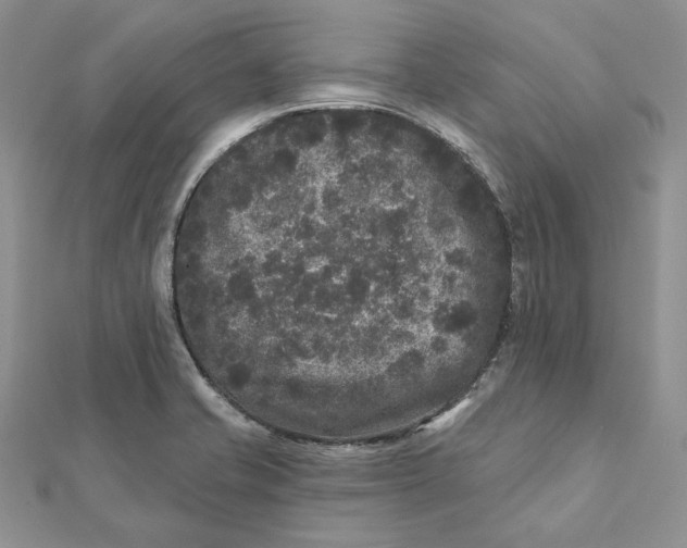 X0000112361421200909031901