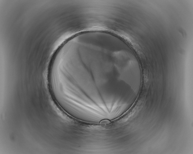 X0000112361422200909031901