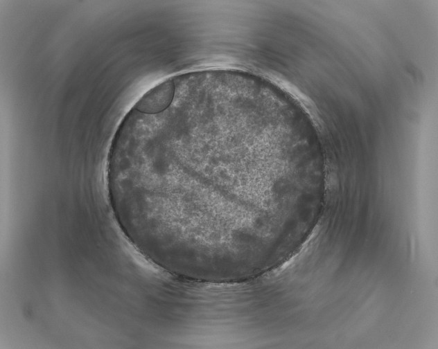 X0000112361423200909031901